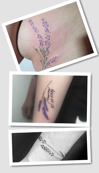 як обрати тату лаванда 