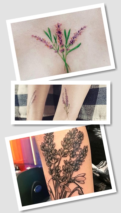 Тату лаванда – витончена прикраса для тіла