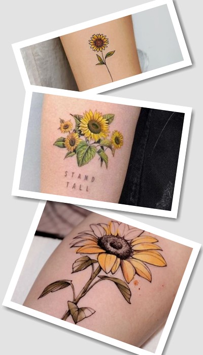 Варіанти малюнків тату соня