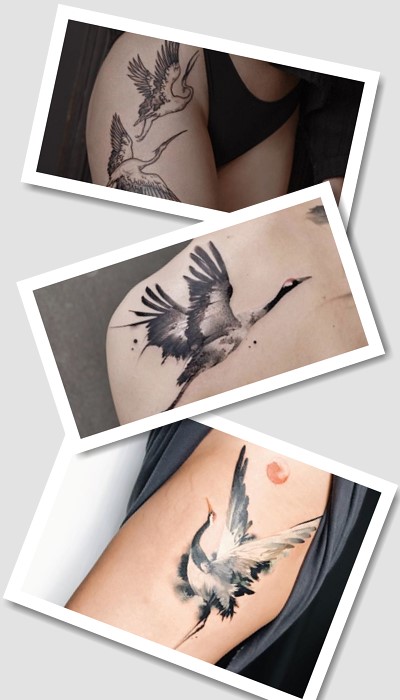 Цікаво знати про тату лелека