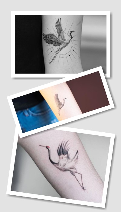 Де набивають тату лелека