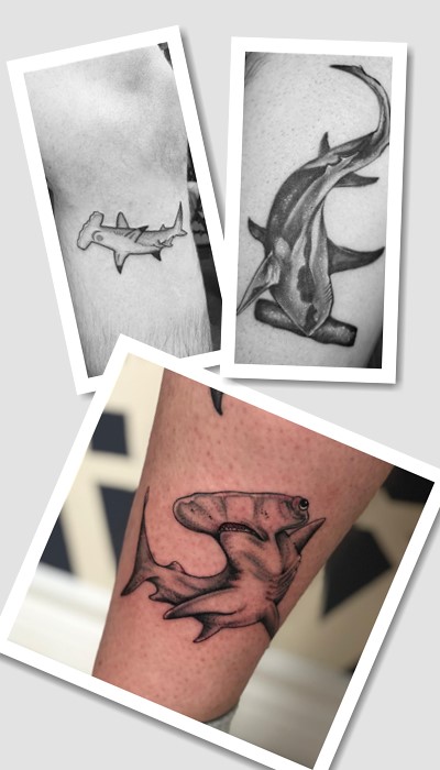 Акула-молот значення тату