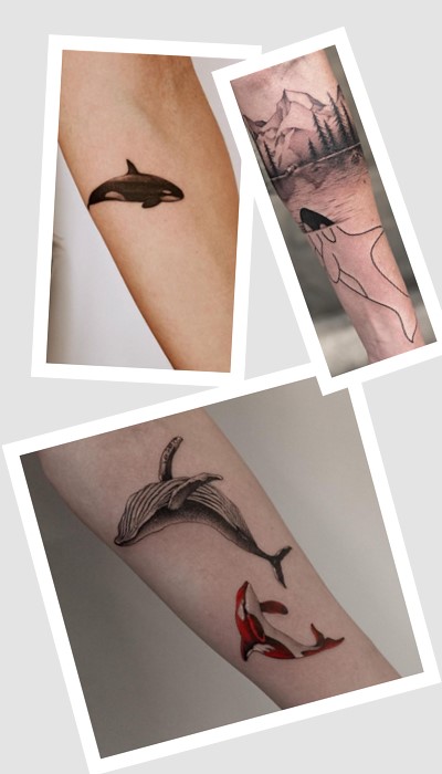 ТОП красивих тату косатка та значення