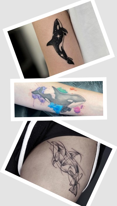 Значення символу тату косатка