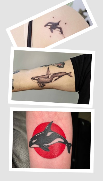 Що означає тату з косаткою