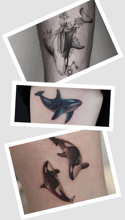 Стилі та види татуювань косатка