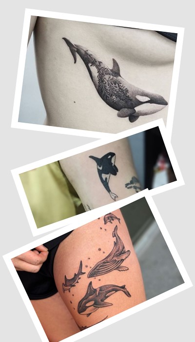 тату косатка зображують у стилі реалізм