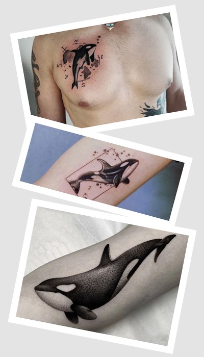 стилі та види татуювання з косаткою 