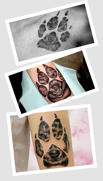 Де краще розмістити тату з лапами