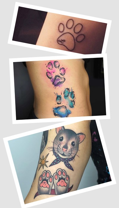 тату лапки