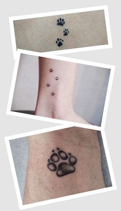 значення тату лапки