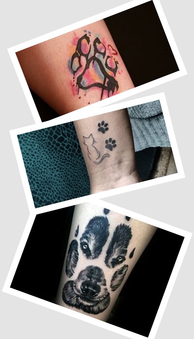 татуювання лапки