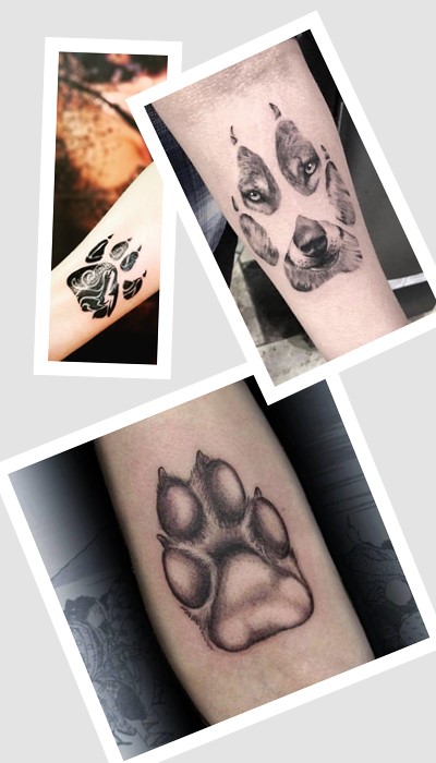 ТОП тату лапа та їх символізм