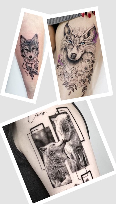 значення Тату вовчиця