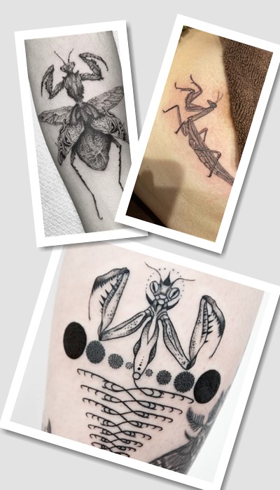 татуювання богомол у Києві