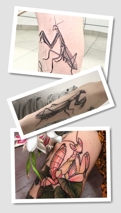 тату богомол