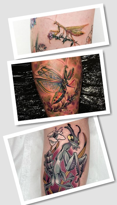 значення тату богомол