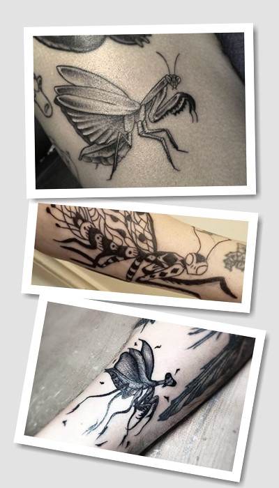 що означає тату богомол