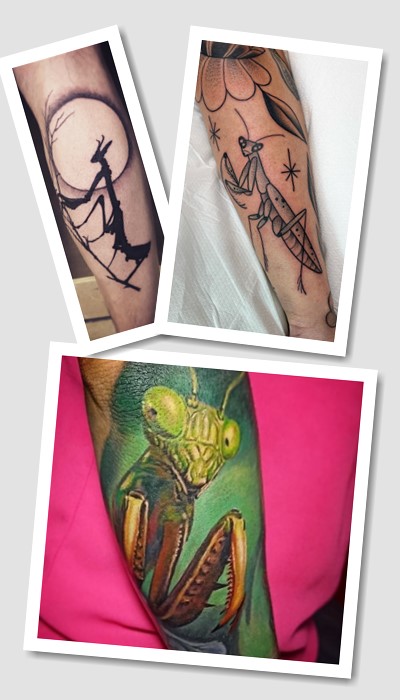 що означає татуювання богомол