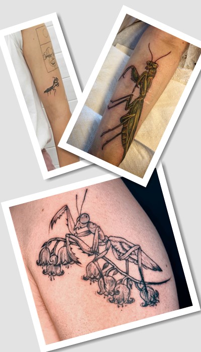 кому підійде тату богомол