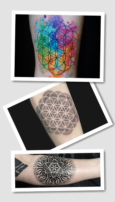 тату квітка життя