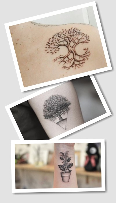 що означає тату дуб