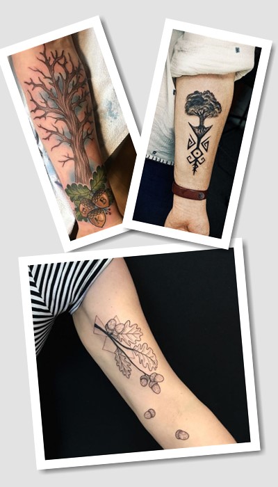 що означає татуювання дуб