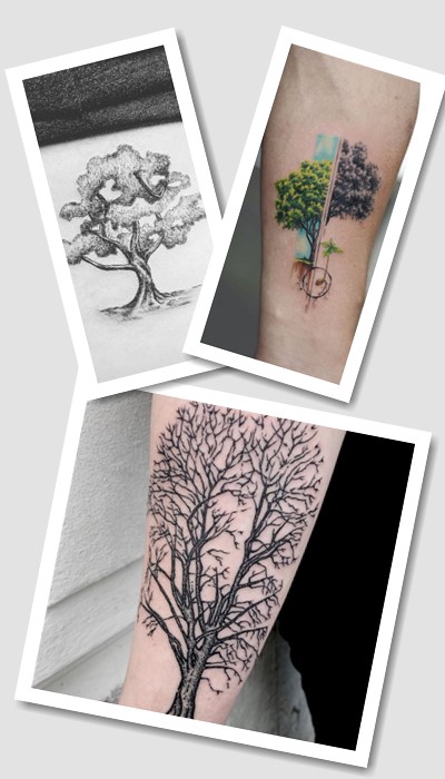 кому підійде татуювання дуб