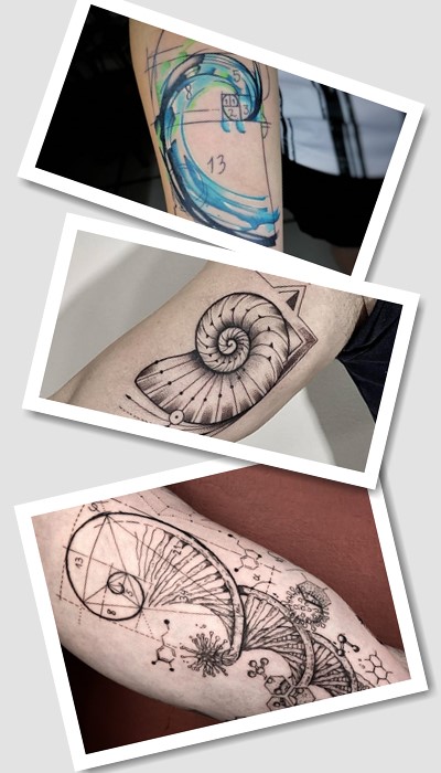 Тату золотий перетин Фібоначчі