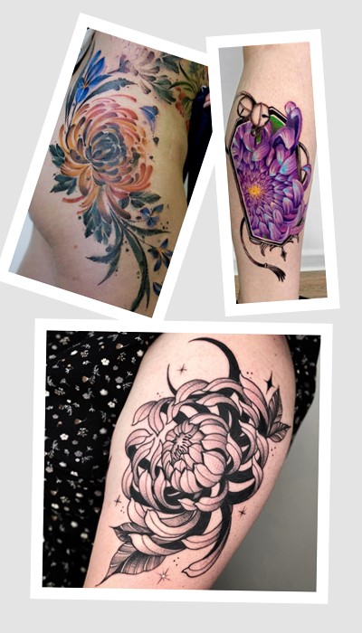 тату хризантема