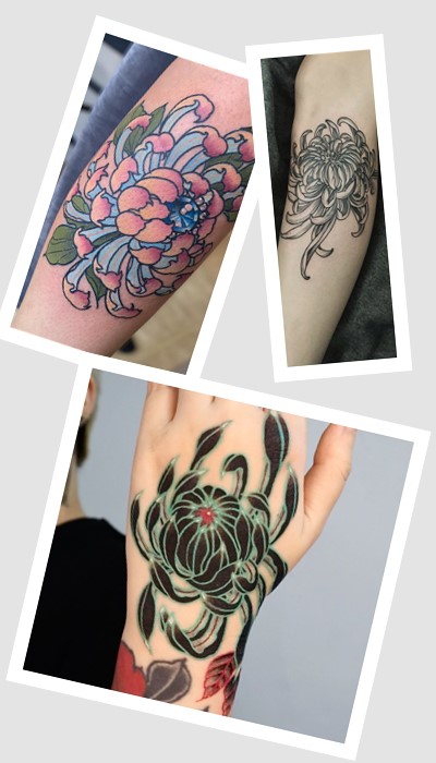 що означає тату хризантема