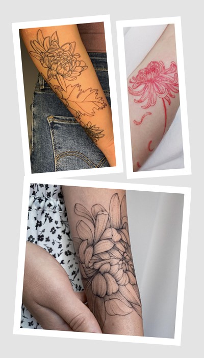 кому підійде татуювання хризантема