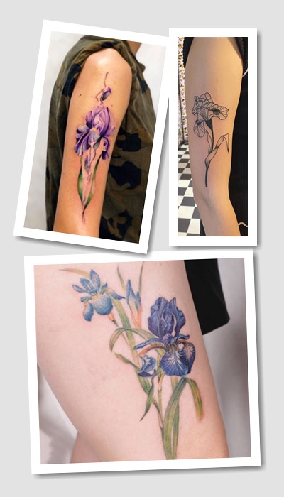 тату ірис