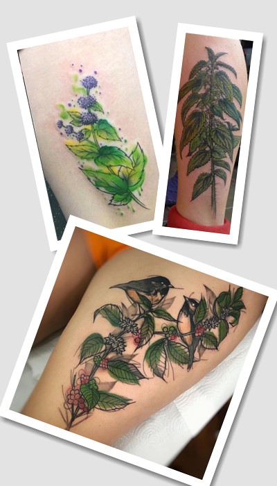 тату кропива