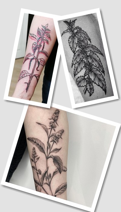 татуювання кропива і м'ята у Києві