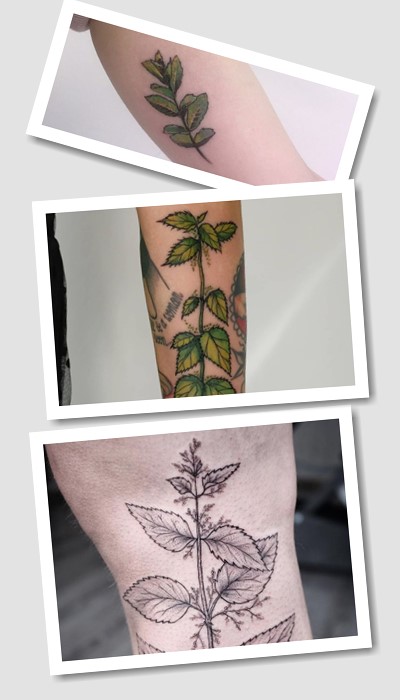 татуювання кропива