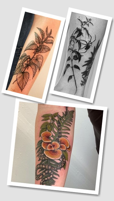 значення тату кропива