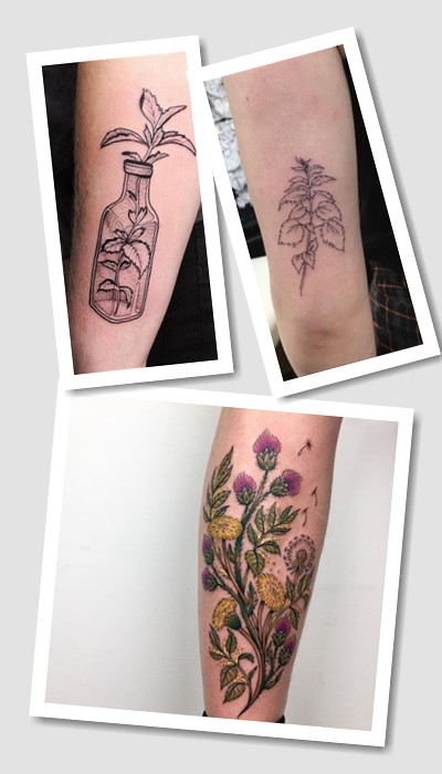 що означає тату кропива