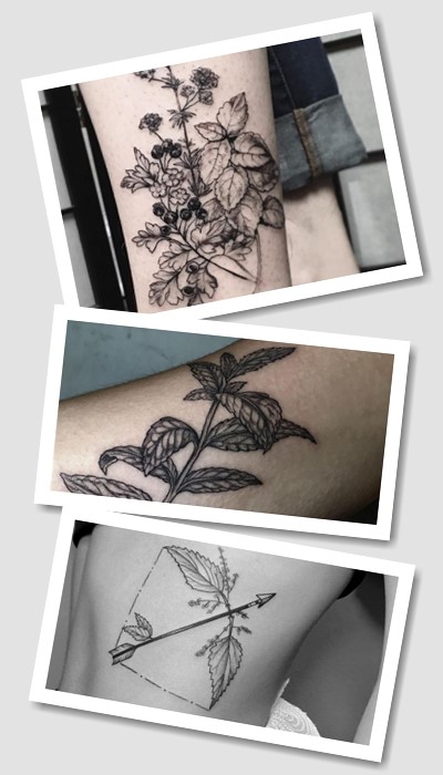 кому підійде тату м'ята