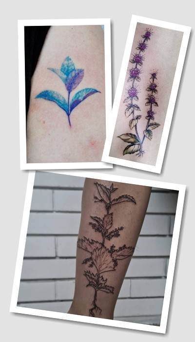 кому підійде татуювання м'ята