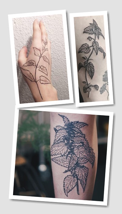 ідеї татуювання кропива і м'ята