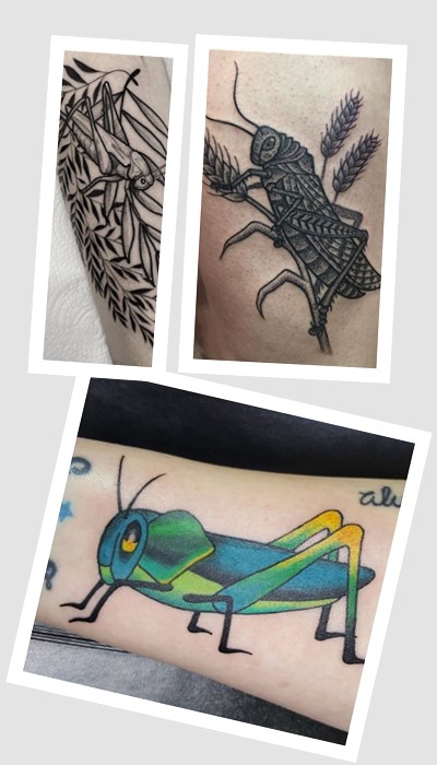 що означає тату коник