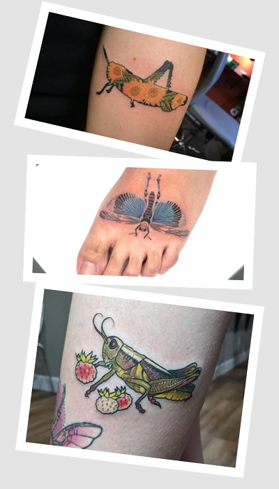 кому підійде тату коник