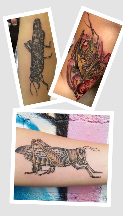 кому підійде татуювання коник