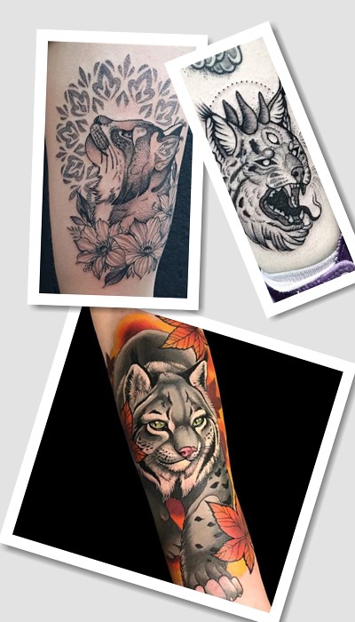 що означає тату пума