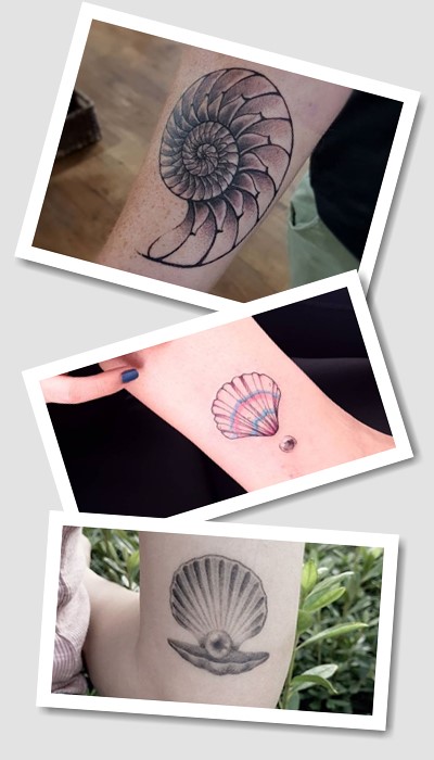 тату Ракушка