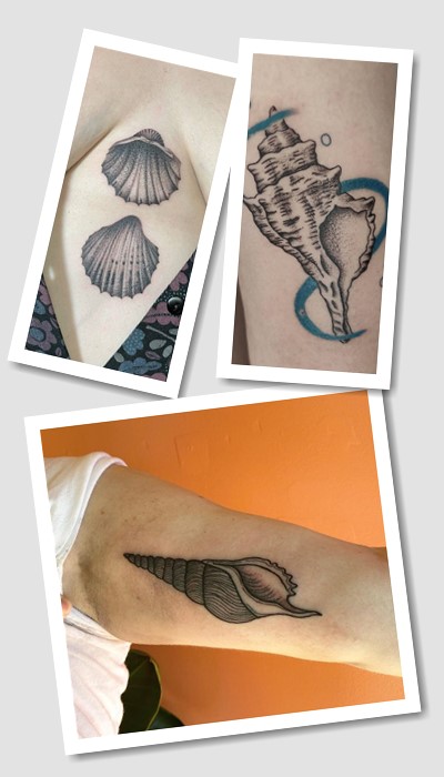 татуювання Ракушка
