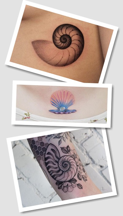 значення тату Ракушка