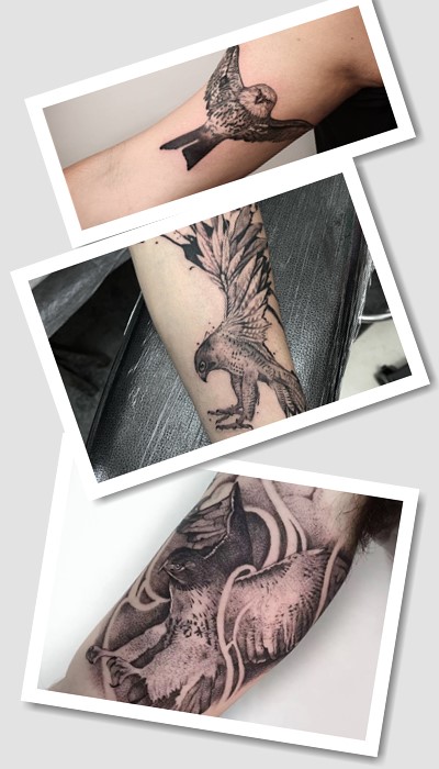 Тату сокіл – оригінальний малюнок