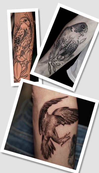 що означає татуювання сокіл